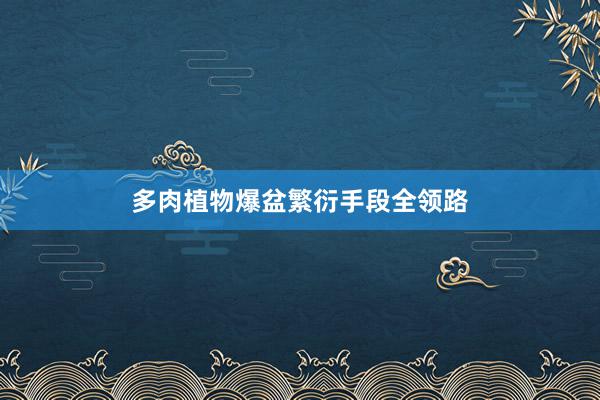 多肉植物爆盆繁衍手段全领路