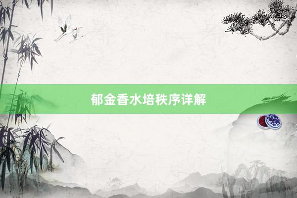 郁金香水培秩序详解