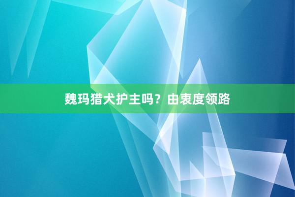 魏玛猎犬护主吗？由衷度领路