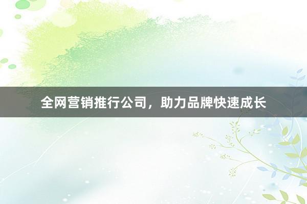 全网营销推行公司，助力品牌快速成长