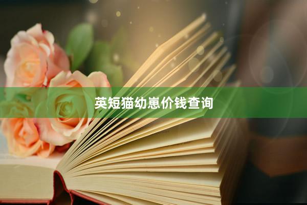 英短猫幼崽价钱查询